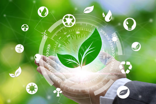 istock Hand holding with leaf and environment icons over the Network connection on nature background, Technology ecology concept. Environmental protection concept 1178901566