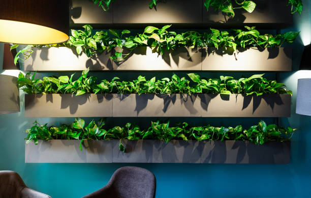 istock Natural interior in modern cafe with green plants zone 1178902435