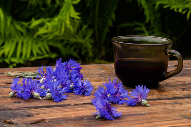 nature morte avec la tasse de café et les fleurs de bleuet sur le fond en bois - 3517 photos et images de collection