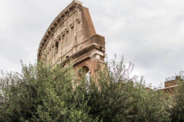 istock Coliseum, the great beauty of Rome 1178906973