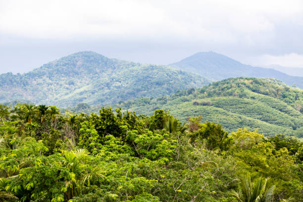 istock Beautiful view of the mountains in Phuket 1178908514