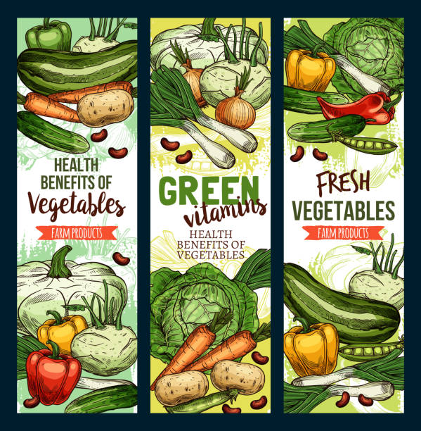 zdrowe zielone witaminy spożywcze, warzywa gospodarskie - vegetable leek kohlrabi radish stock illustrations