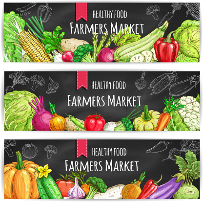 Veggies of farmer market. Vegetarian healthy food banners set. Chalk sketch vegetable pumpkin and cabbage, onion and broccoli, pepper and cucumber, tomato and celery, radish, carrot and beet, potato on blackboard
