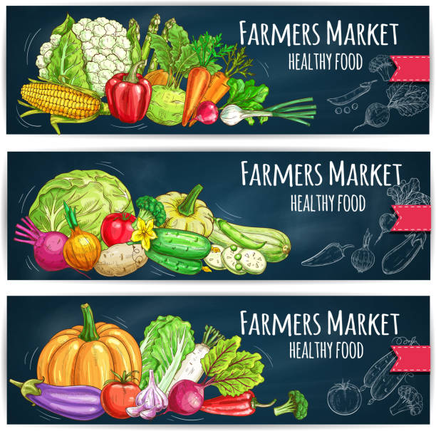 rolnicy banery targowe z naszkicowanymi warzywami - vegetable leek kohlrabi radish stock illustrations