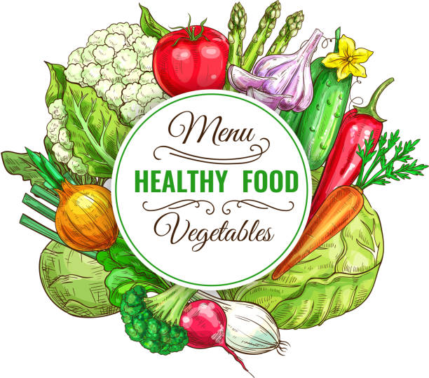 projekt plakatu z menu warzywnego, zdrowego jedzenia - vegetable leek kohlrabi radish stock illustrations