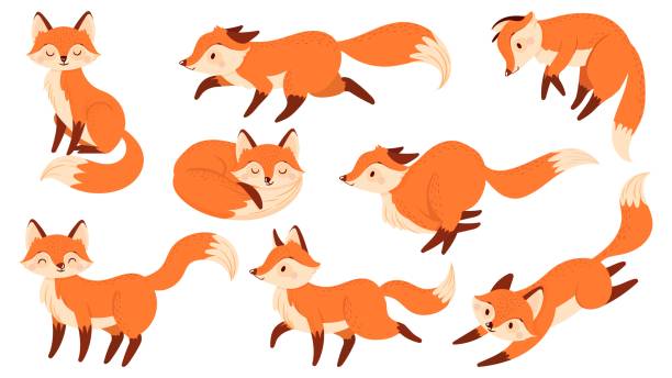 Cartoon red fox. Funny foxes with black paws, cute jumping animal vector illustration set Cartoon red fox. Funny foxes with black paws, cute jumping animal. Foxy character, predator fox mascot or wildlife forest animal mammal. Isolated vector illustration icons set fox stock illustrations