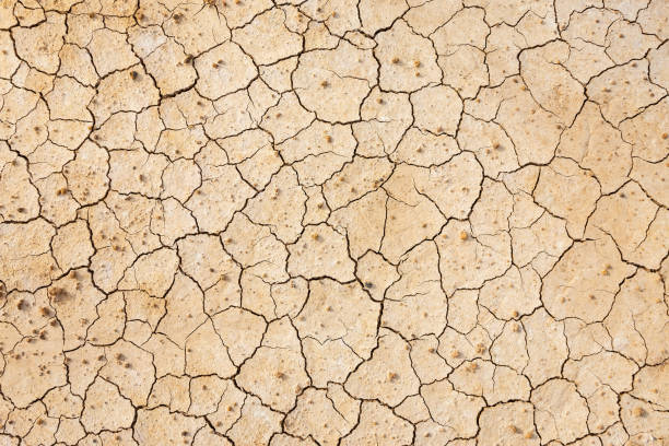 istock Brown dry soil or cracked ground texture background. 1178909900