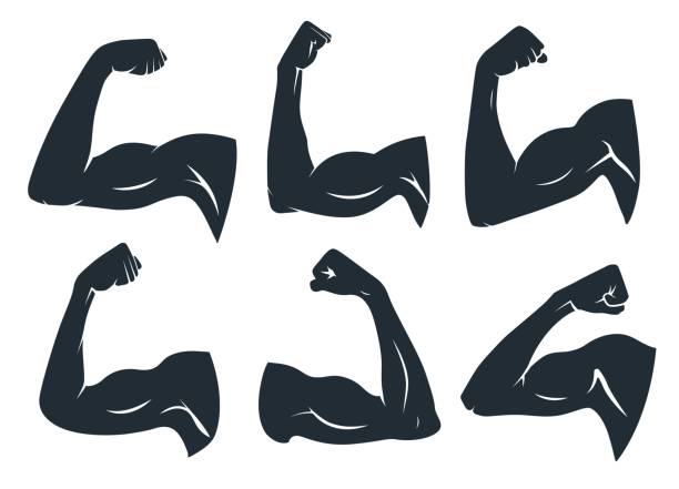 hand-muskel-silhouette. starke armmuskeln, harte bizeps und power gym vektor schablone symbole gesetzt - bicep human arm macho flexing muscles stock-grafiken, -clipart, -cartoons und -symbole