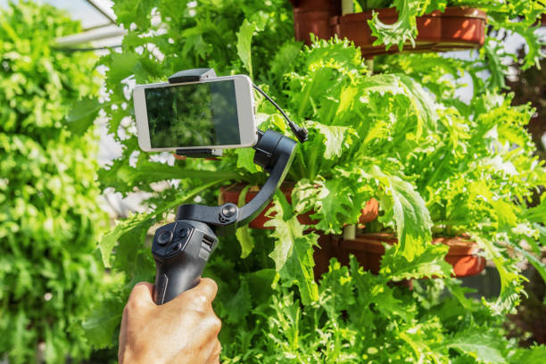 istock Holding organic vegetables in a greenhouse with a stabilizer 1178909945