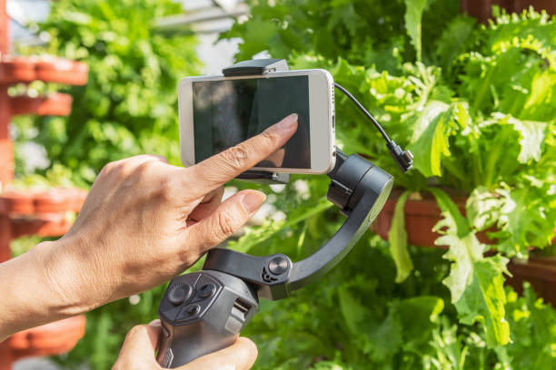 istock Holding organic vegetables in a greenhouse with a stabilizer 1178909960