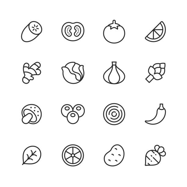 gemüse linie icons. bearbeitbarer strich. pixel perfekt. für mobile und web. enthält symbole wie gurke, tomate, zwiebel, zitrone, ingwer, pilz, pfeffer. - salad vegetable pumpkin broccoli stock-grafiken, -clipart, -cartoons und -symbole