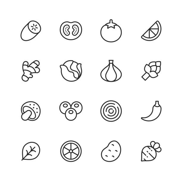 야채 라인 아이콘입니다. 편집 가능한 스트로크입니다. 픽셀 완벽한. 모바일 및 웹용. 오이, 토마토, 양파, 레몬, 생강, 버섯, 후추와 같은 아이콘이 들어 있습니다. - onion vegetable leaf spice stock illustrations