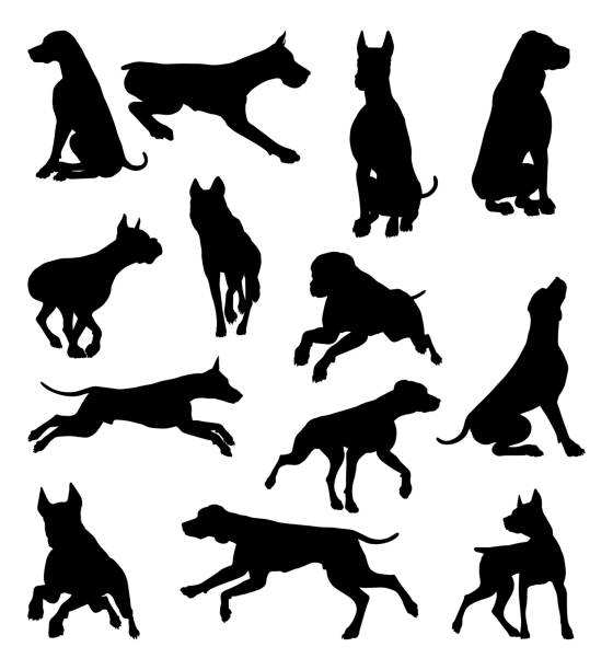 Dog Silhouettes Animal Set A set of detailed animal silhouettes of a pet dog pitbull graphic stock illustrations