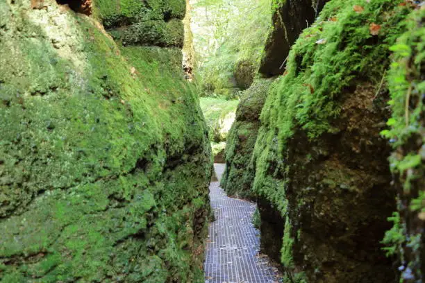 On the way to Drachenschlucht dragon´s canyon in Eisenach, Thuringia in Germany