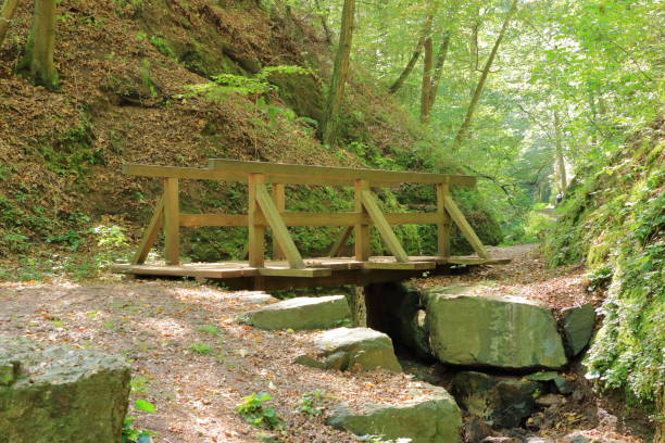 istock On the way to Drachenschlucht dragon´s canyon in Eisenach, Thuringia, Germany 1178914492