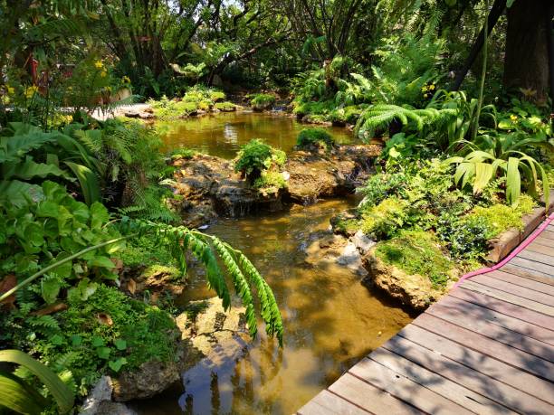 istock Design waterfall with koi fish pond in the garden 1178914565