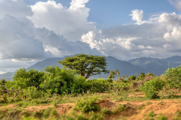 istock Mago National Park, Omo Valley, Etiopia 1178916365