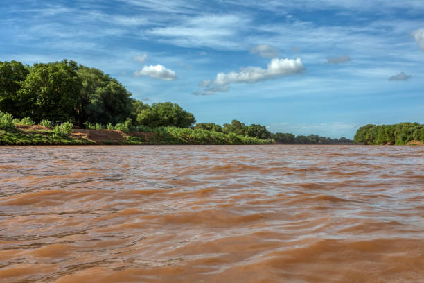 Omo River, Ethiopia, Africa wilderness Omo River valley, home of wild Ethiopian peoples, African wilderness. Landscape of Omo River view from small wooden boat. Ethiopia, Africa omo river photos stock pictures, royalty-free photos & images