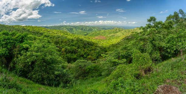 マゴ国立公園、オモバレー、エティオピア - mago national park ストックフォトと画像