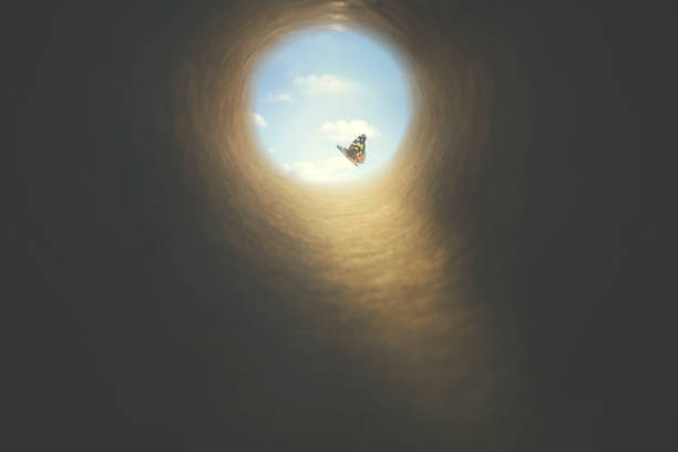 colorful butterfly finds its way out of a dark tunnel, concept of freedom stock photo