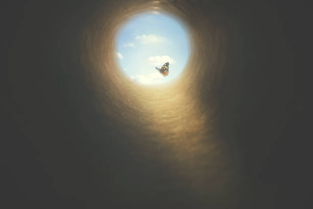 a borboleta colorida encontra sua maneira fora de um túnel escuro, conceito da liberdade - reincarnation - fotografias e filmes do acervo