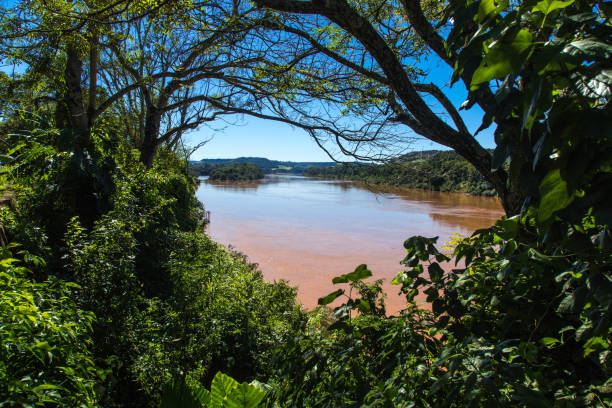 istock Uruguay River in El Soberbio, Argentina - border with brazil 1178917778