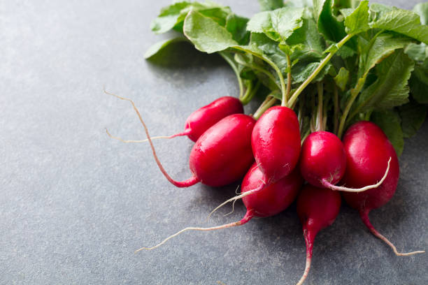 bouquet radish sur le fond gris de pierre. copiez l'espace. rapprocher. - radish bunch red vegetable photos et images de collection