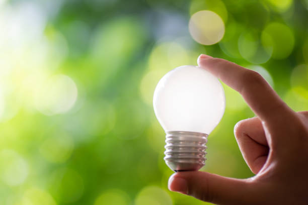 istock idea solar energy in nature, hand holding light bulb concept 1178922187