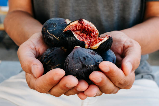 man with some figs in his hands closeup of a young caucasian man outdoors, in casual wear, with some ripe figs in his hands fig photos stock pictures, royalty-free photos & images