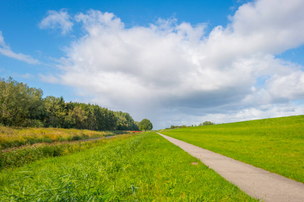 istock Green dike in a rural area below a blue cloudy sky in sunlight at fall 1178924127