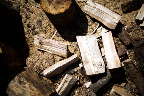 istock Piles of wood 1178925098