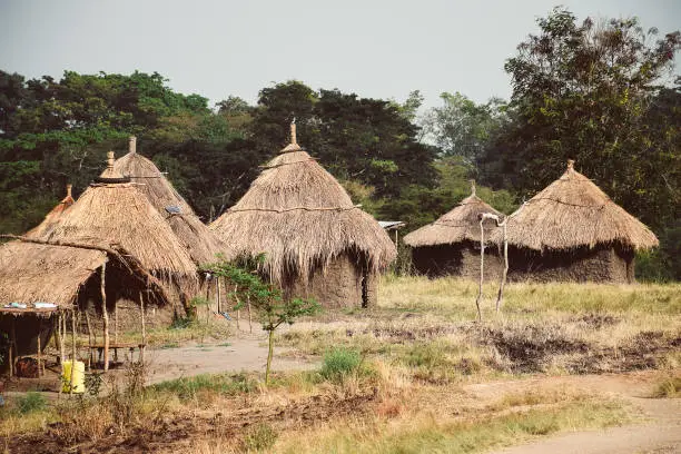 Photo of Humble dwelling of thatched house Guinea