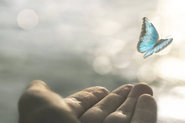 a delicate butterfly flies away from a woman's hand a delicate butterfly flies away from a woman's hand animal body photos stock pictures, royalty-free photos & images