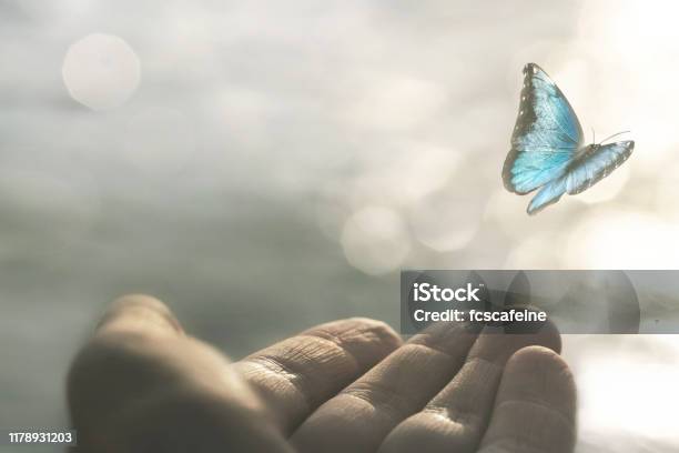 A Delicate Butterfly Flies Away From A Womans Hand Stock Photo - Download Image Now