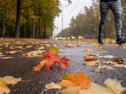 Multi-colored fallen maple leaves lie on the wet asphalt. Background athlete in sportswear and shoes jogging