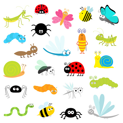 Insect icon set. Mantis Lady bug Mosquito Butterfly Bee Grasshopper Beetle Caterpillar Spider Cockroach Fly Snail Dragonfly Ant Lady bird Worm. Cute cartoon kawaii funny character. Flat design. Vector