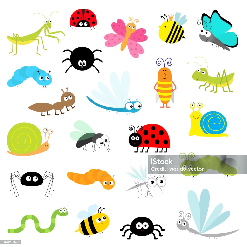 Insect icon set. Mantis Lady bug Mosquito Butterfly Bee Grasshopper Beetle Caterpillar Spider Cockroach Fly Snail Dragonfly Ant Lady bird Worm. Cute cartoon kawaii funny doodle character. Flat design. Insect icon set. Mantis Lady bug Mosquito Butterfly Bee Grasshopper Beetle Caterpillar Spider Cockroach Fly Snail Dragonfly Ant Lady bird Worm. Cute cartoon kawaii funny character. Flat design. Vector Insect stock vector