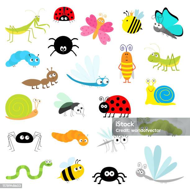 Insect Icon Set Mantis Lady Bug Mosquito Butterfly Bee Grasshopper Beetle Caterpillar Spider Cockroach Fly Snail Dragonfly Ant Lady Bird Worm Cute Cartoon Kawaii Funny Doodle Character Flat Design Stock Illustration - Download Image Now