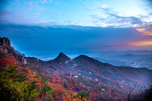 South Korea landscape in autumn on the morning and Colorful trees with fog