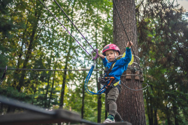 istock Cute little boy in an adventure park 1178952323