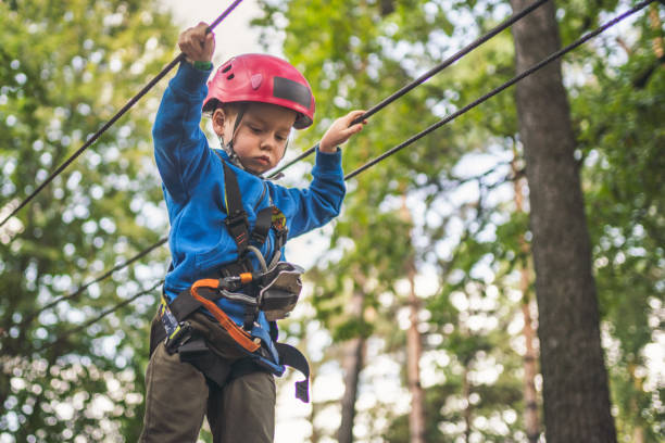 istock Cute little boy in an adventure park 1178952331