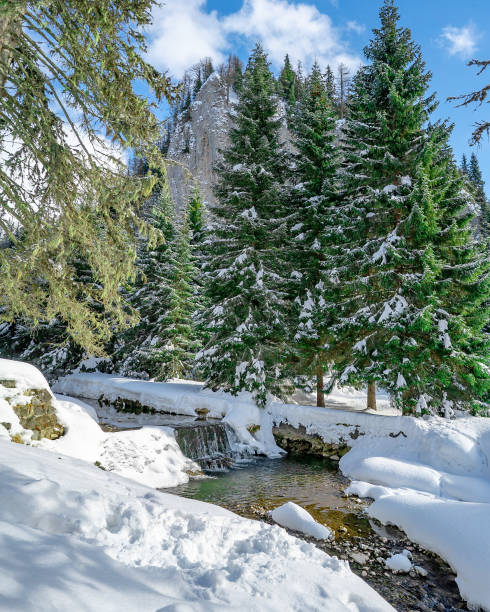 istock Mountains in Winter in Romania 1178952441