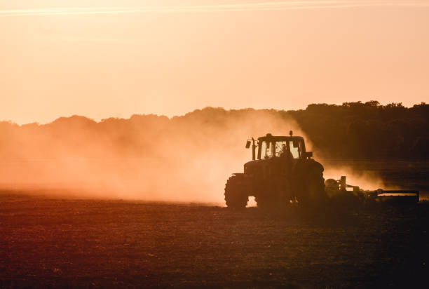 Tractor working Silhouette of tractor working on a farm at twilight extremadura stock pictures, royalty-free photos & images