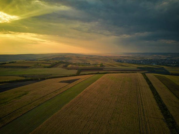 istock Aerial drone view of grain fields, wheat during golden sunset. Agricultural pattern. Moldova republic of. 1178952937
