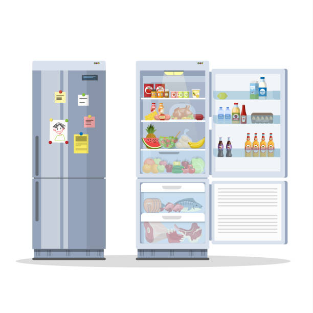illustrazioni stock, clip art, cartoni animati e icone di tendenza di frigorifero aperto e chiuso o frigorifero con cibo. - frigorifero