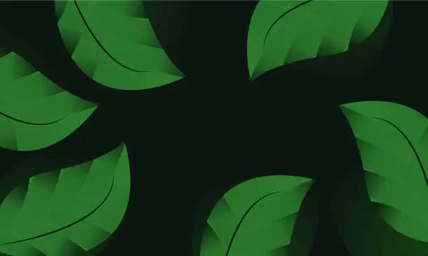 Vector illustration of elegant decorative green  leaves frame pattern background