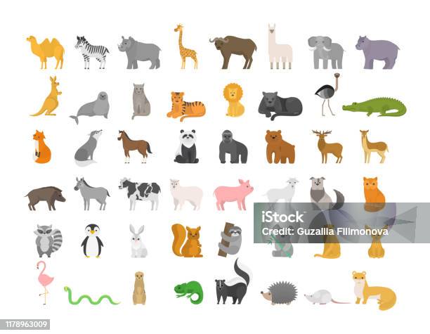 Cute Animal Set With Farm And Wild Character - Arte vetorial de stock e mais imagens de Animal - Animal, Ilustração, Símbolo de ícone