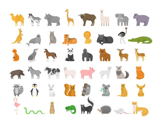 Cute animal set with farm and wild character. Cute animal set with farm and wild character. Cat and lion, elephant and monkey. Zoo collection. Isolated flat vector illustration animals stock illustrations