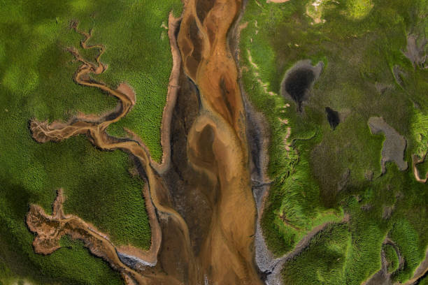 istock Drone capture of marshland,wildlife,Cape Cod,Massachusetts,USA 1178963162