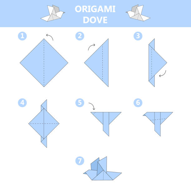 How to make origami dove guide. vector art illustration